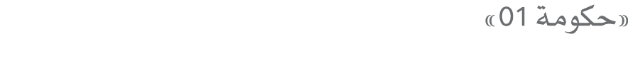 «حكومة 01»