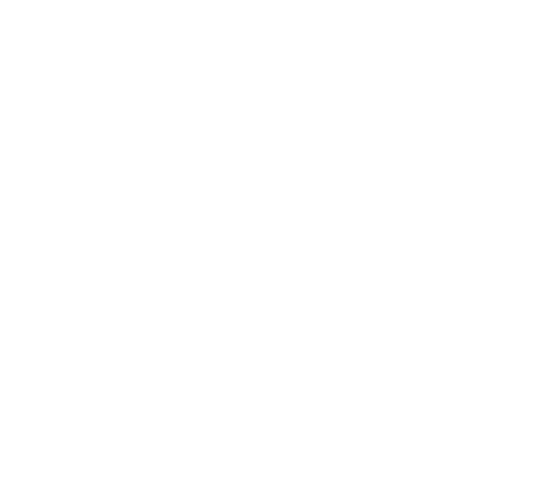 Flexible Legislation Encouraging Productivity and Competitiveness