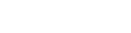 Development of Government Talent