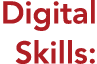 Digital Skills: 