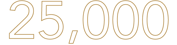 25,000