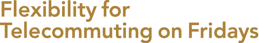 Flexibility for Telecommuting on Fridays