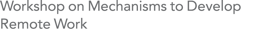 Workshop on Mechanisms to Develop Remote Work