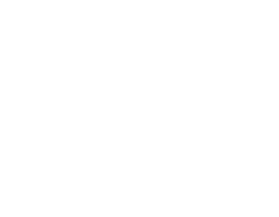 Local and Global Partnerships with Various Business Sectors 