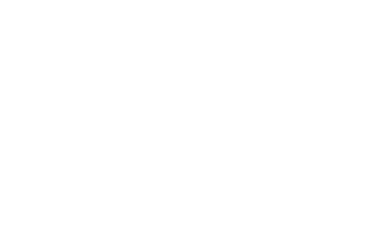Pioneers in Knowledge Transfer Locally and Globally