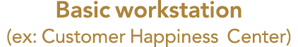 Basic workstation (ex: Customer Happiness Center) 