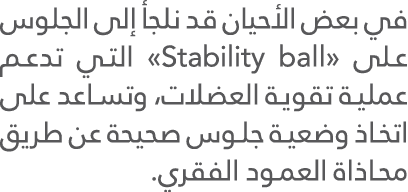                                        Stability ball                                                                   