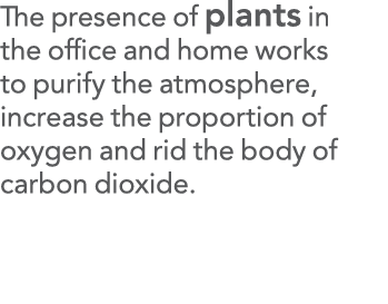 The presence of plants in the office and home works to purify the atmosphere, increase the proportion of oxygen and r   