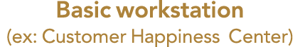 Basic workstation (ex: Customer Happiness Center) 