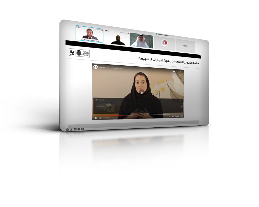 http:  artbees deviantart com 