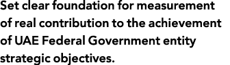 Set clear foundation for measurement of real contribution to the achievement of UAE Federal Government entity strateg   
