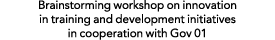 Brainstorming workshop on innovation in training and development initiatives in cooperation with Gov 01