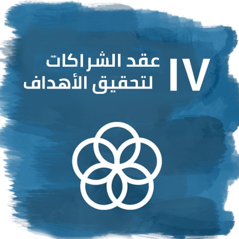 الهدف 17