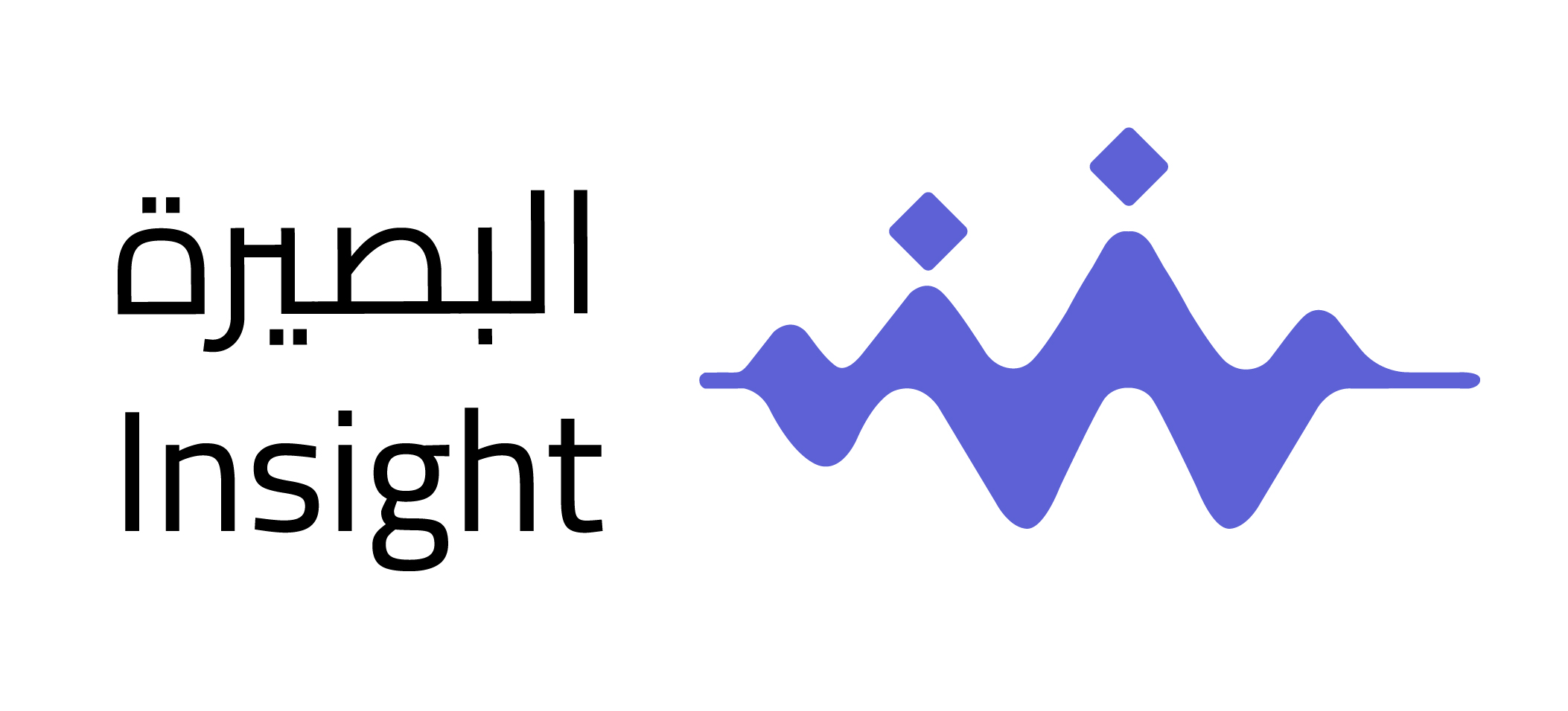نظام “البصيرة”