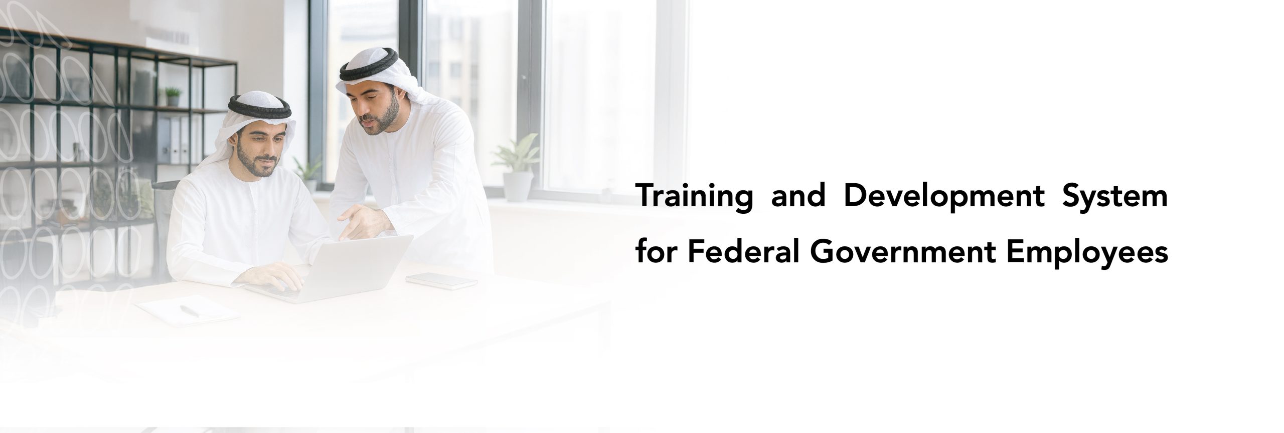 Training and Development System for Federal Government Employees